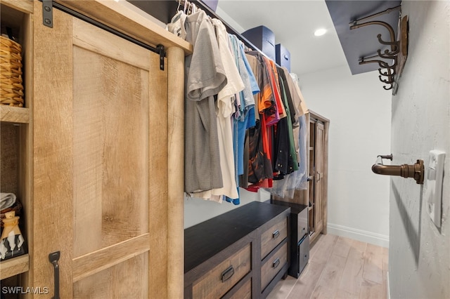 spacious closet with light wood-type flooring