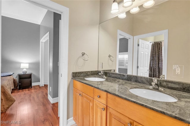 bathroom featuring vanity and wood-type flooring