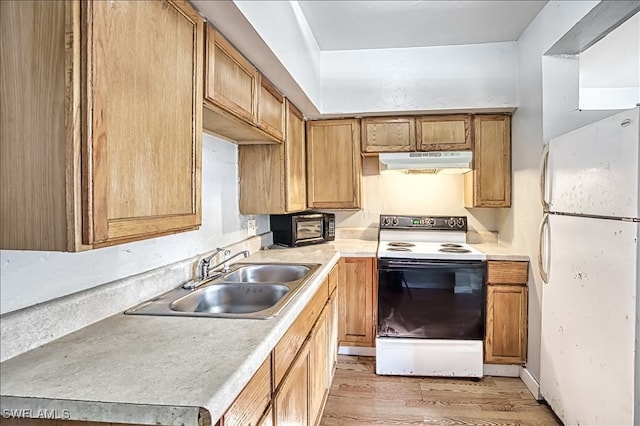 kitchen with sink, white appliances, and light hardwood / wood-style flooring