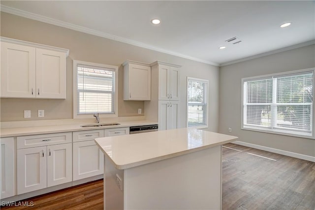 kitchen featuring white cabinets, wood-type flooring, and plenty of natural light