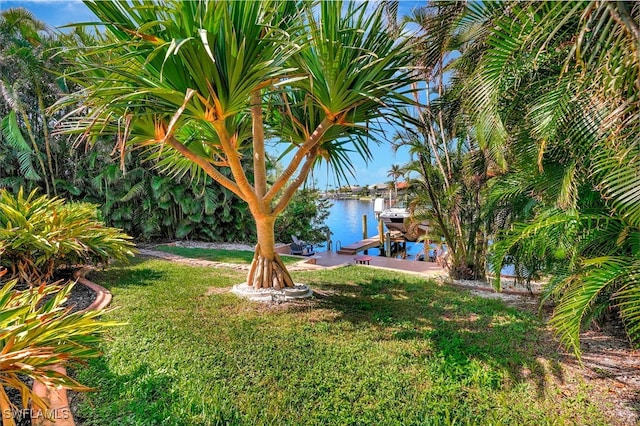 view of yard featuring a water view and a dock