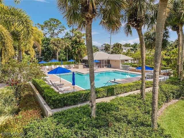 view of pool with a patio