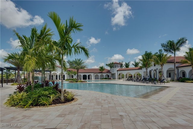 view of pool with a patio