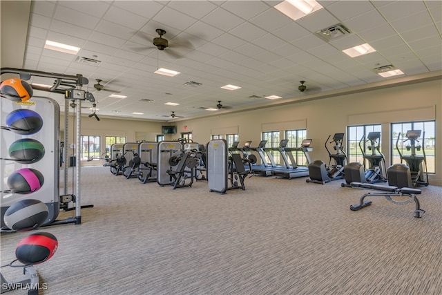 workout area featuring carpet flooring, ceiling fan, and a drop ceiling