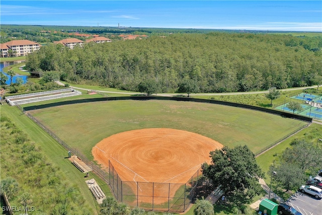 bird's eye view