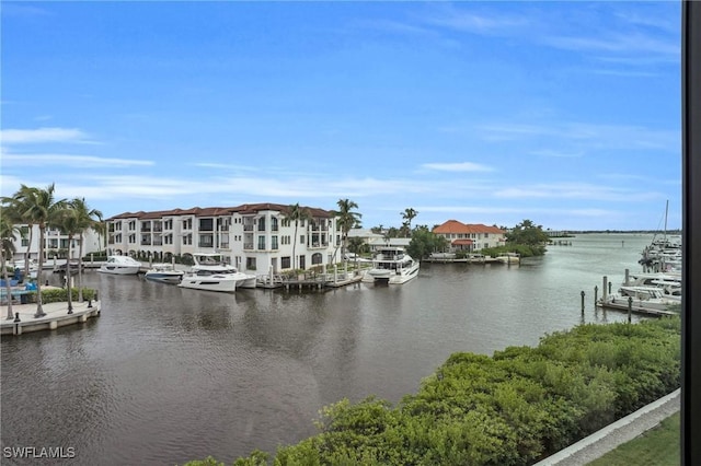 water view featuring a dock