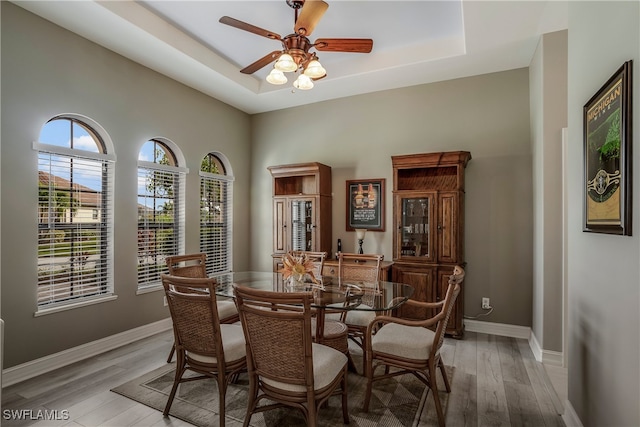 dining room featuring a raised ceiling, ceiling fan, and light wood-type flooring