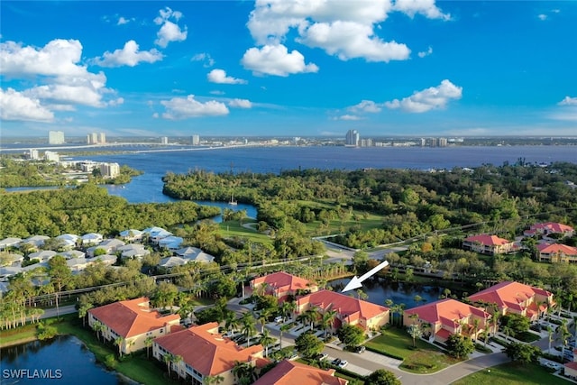 aerial view with a water view