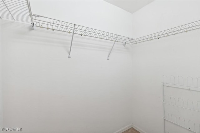 view of spacious closet