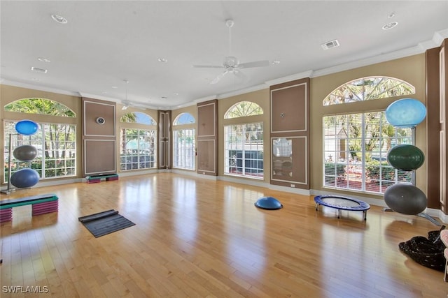 exercise area featuring a healthy amount of sunlight, light wood-type flooring, and crown molding