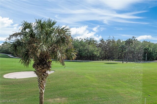 view of home's community with a yard