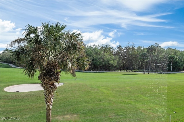 view of community with a lawn