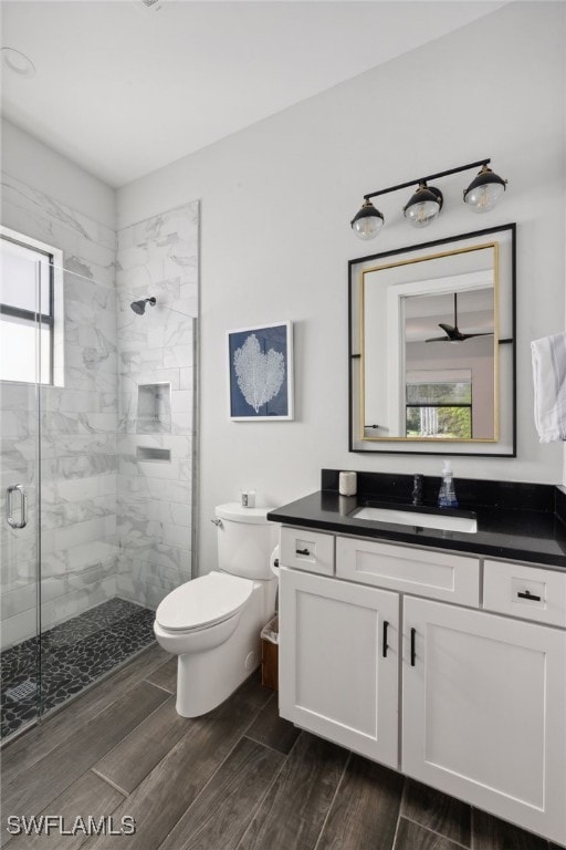 bathroom featuring vanity, an enclosed shower, and toilet