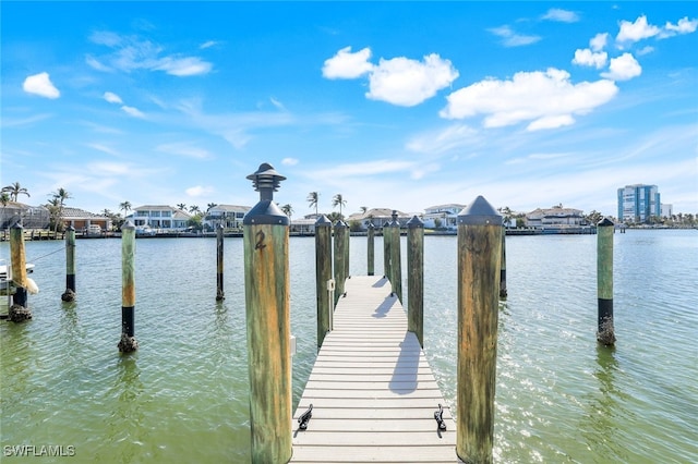 dock area with a water view