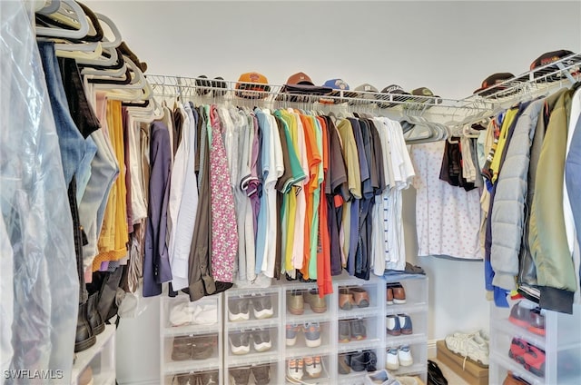 view of spacious closet