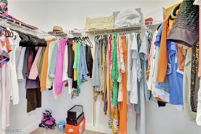 spacious closet with carpet floors