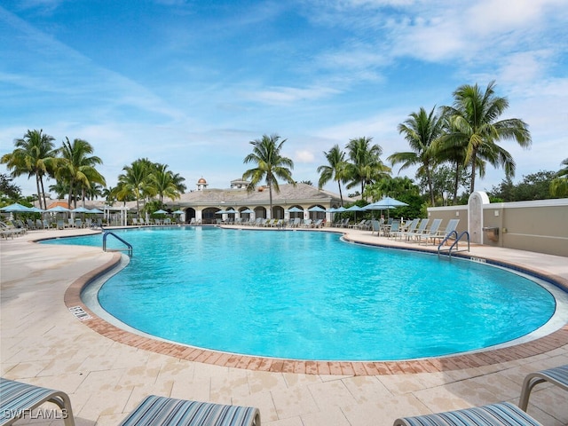 view of pool featuring a patio area