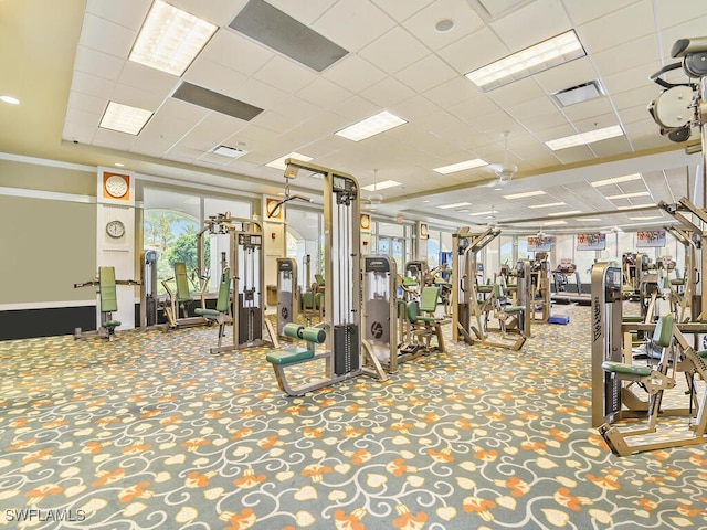 gym featuring a paneled ceiling and carpet floors