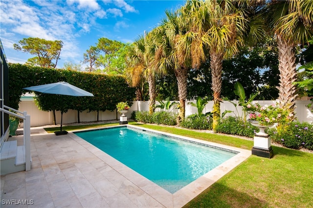 view of swimming pool featuring a yard and a patio