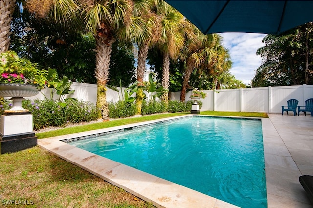 view of swimming pool featuring a patio area