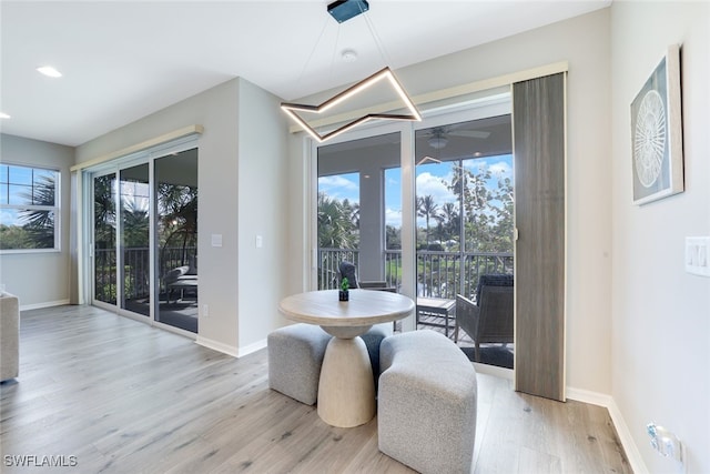 dining area with ceiling fan, a healthy amount of sunlight, and light wood-type flooring