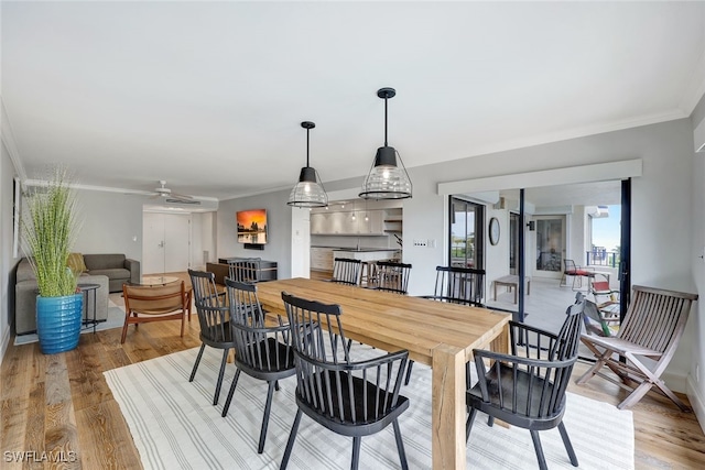 dining space featuring ceiling fan, light hardwood / wood-style floors, and crown molding