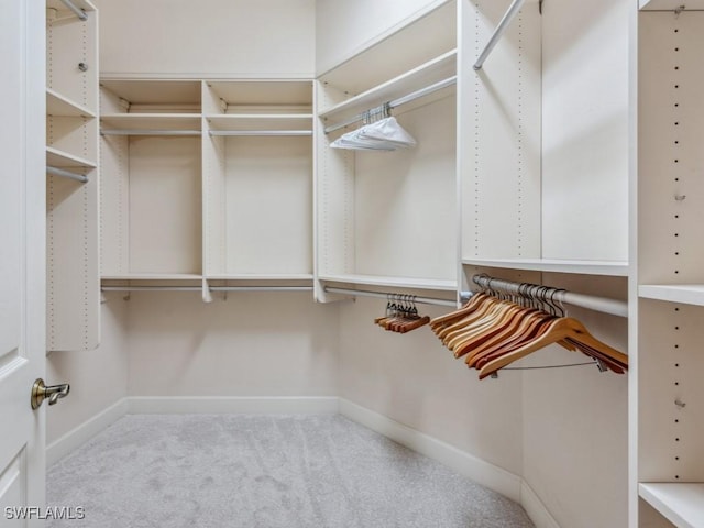 spacious closet with light carpet