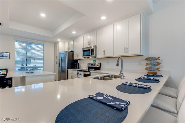 kitchen with kitchen peninsula, stainless steel appliances, a raised ceiling, sink, and white cabinetry