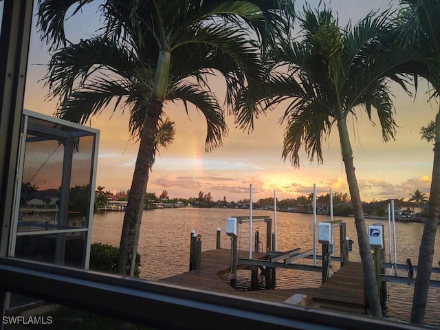 dock area with a water view