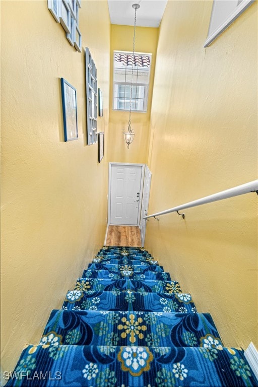 stairs with hardwood / wood-style floors