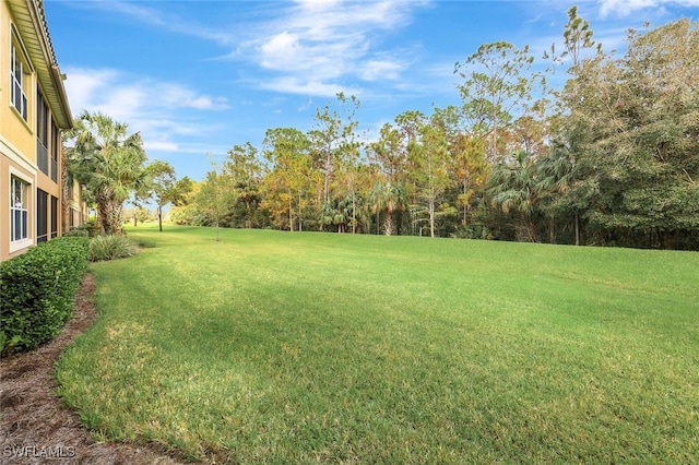 view of yard