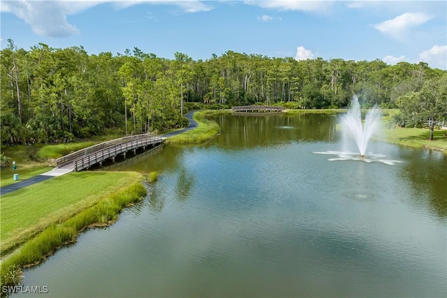 water view with a forest view