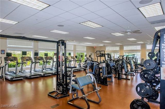 gym with ceiling fan and a drop ceiling