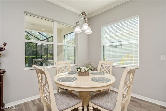 dining area featuring wood-type flooring and a wealth of natural light