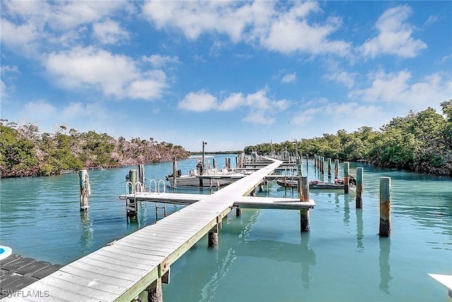 view of dock with a water view