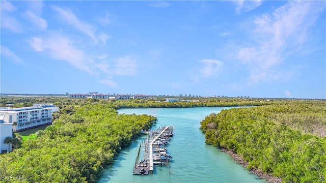 drone / aerial view featuring a water view