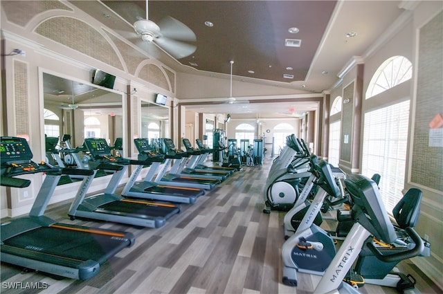 workout area featuring hardwood / wood-style flooring, plenty of natural light, and ornamental molding