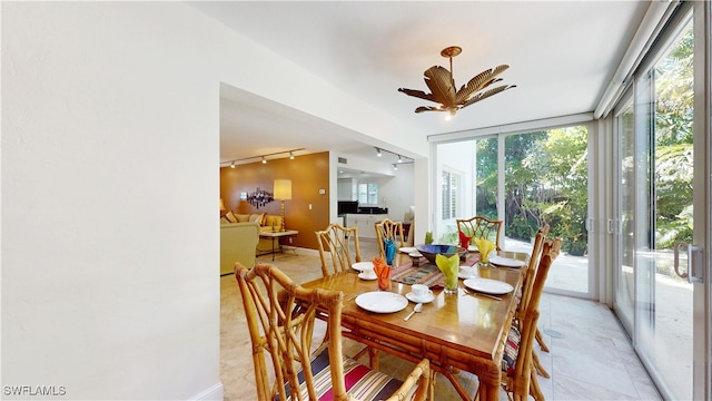 dining room with ceiling fan, rail lighting, and a wealth of natural light