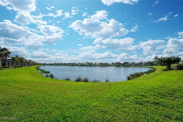 property view of water