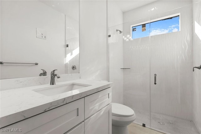 bathroom with toilet, a shower stall, and vanity