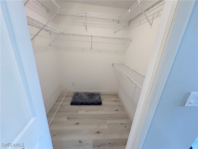 spacious closet featuring hardwood / wood-style floors