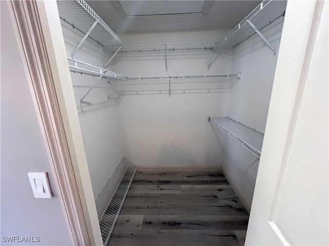 walk in closet with wood-type flooring