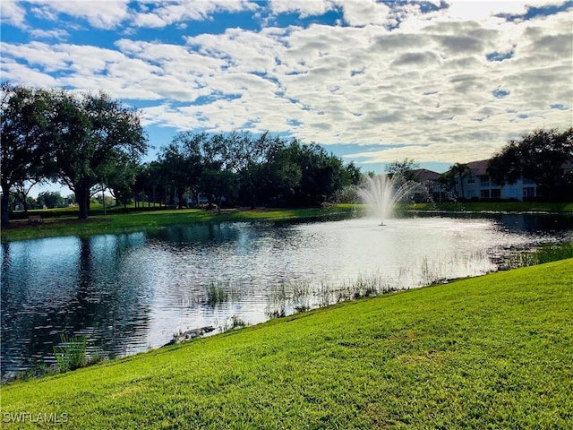 view of water feature