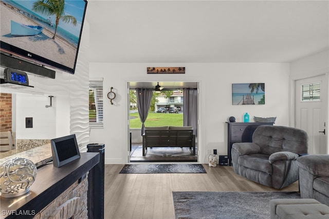 living room with wood-type flooring