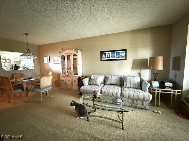 carpeted living room with a textured ceiling