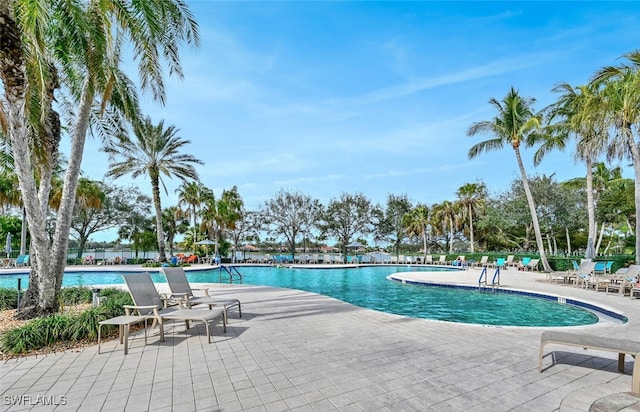 view of swimming pool featuring a patio