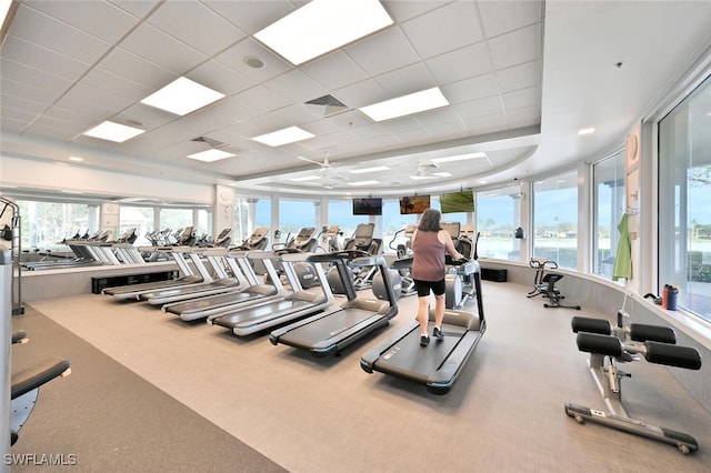 gym with carpet flooring, ceiling fan, and a drop ceiling