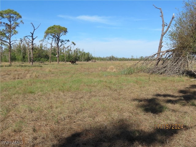 view of landscape featuring a rural view