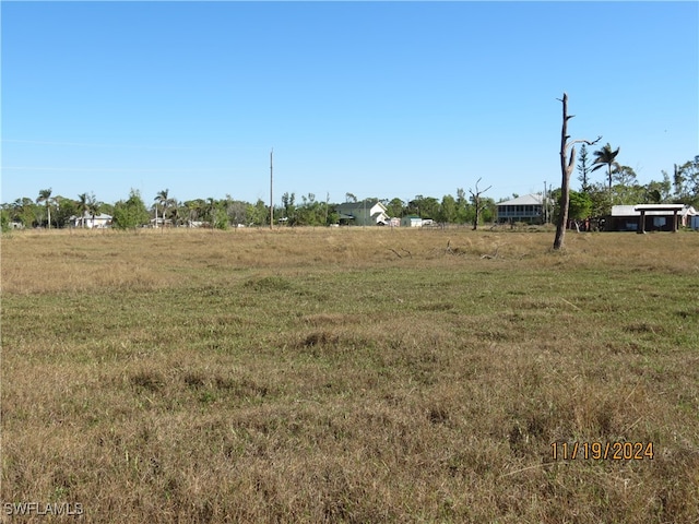 view of yard with a rural view