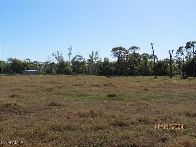 view of local wilderness featuring a rural view